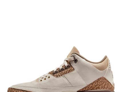 Air Jordan 3 Retro 'Palomino'
