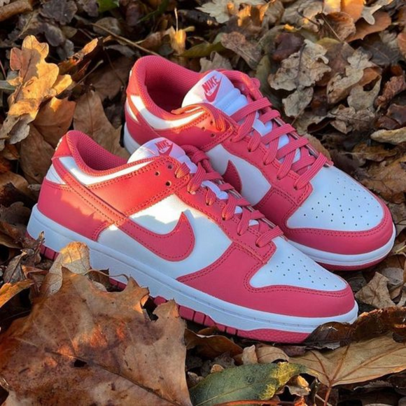 Nike Nike Dunk Low Archeo Pink