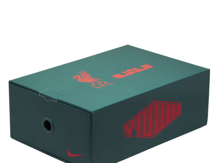 Air Max  1 Liverpool x Lebron